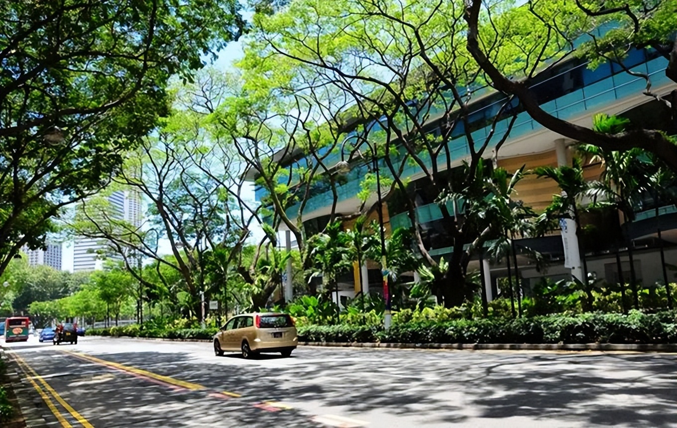 新加坡为什么那么多垃圾桶,新加坡超市不卖垃圾袋吗