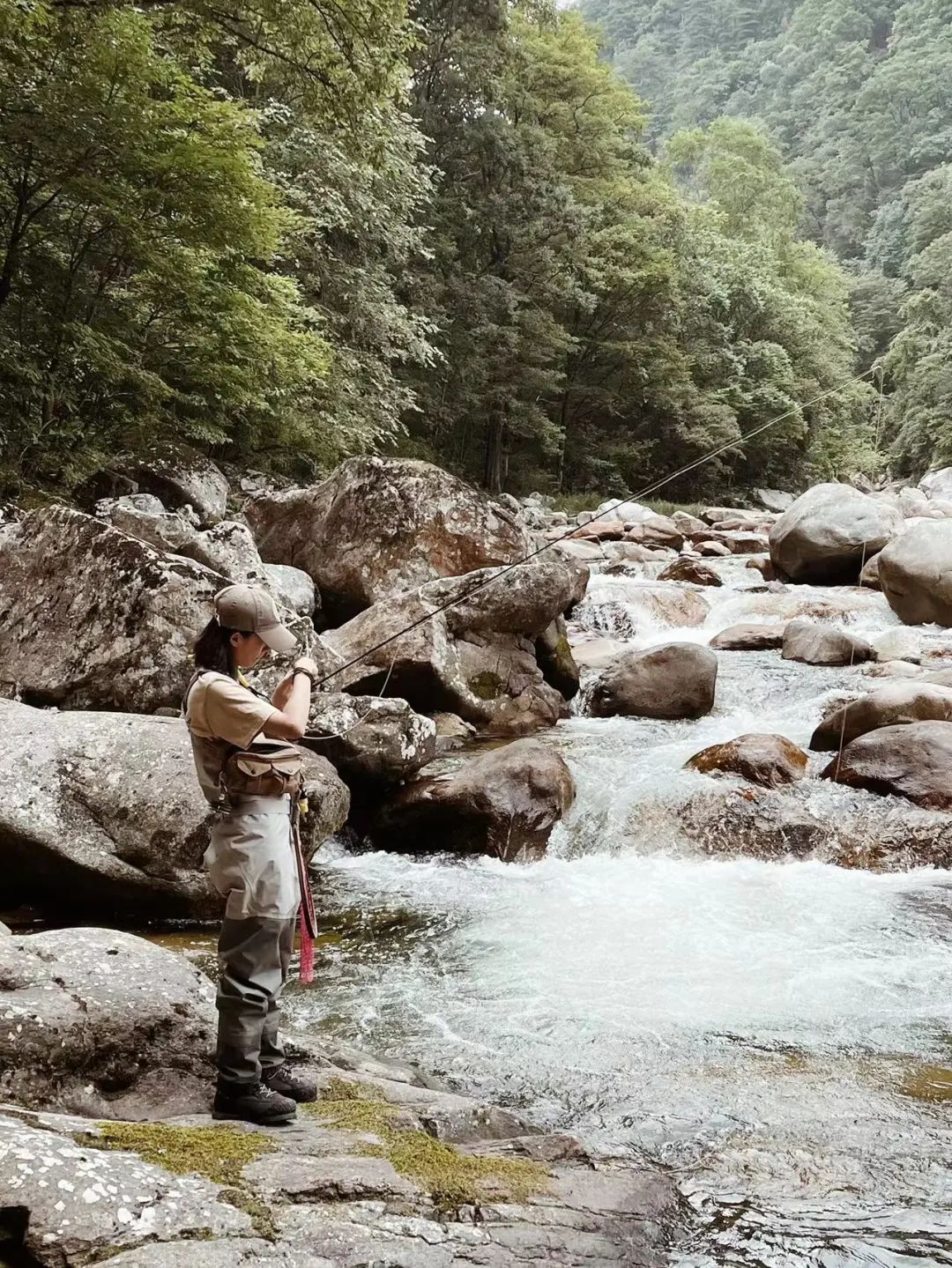 想学钓鱼新手需要买什么,新手学钓鱼最快的方法