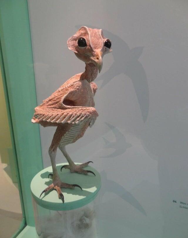 39张罕见的图片让人打开新世界,这32张罕见的图片你见过几张