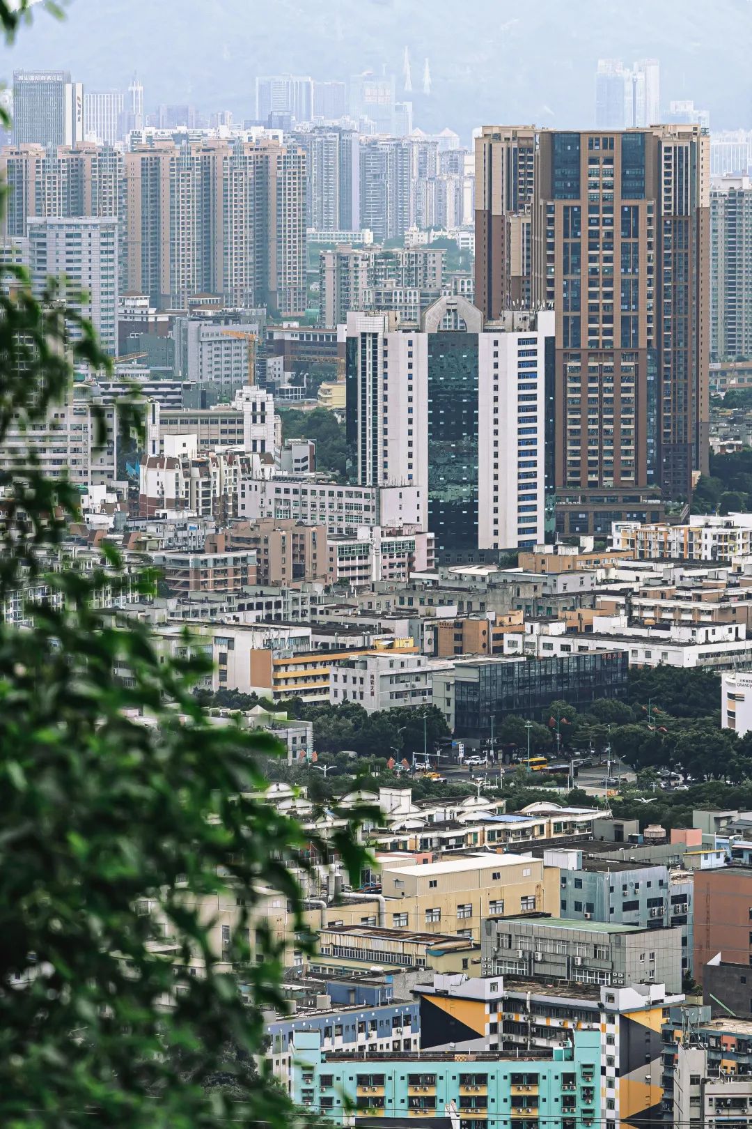 月薪2万，深圳服装厂的暴富神话还在吗？