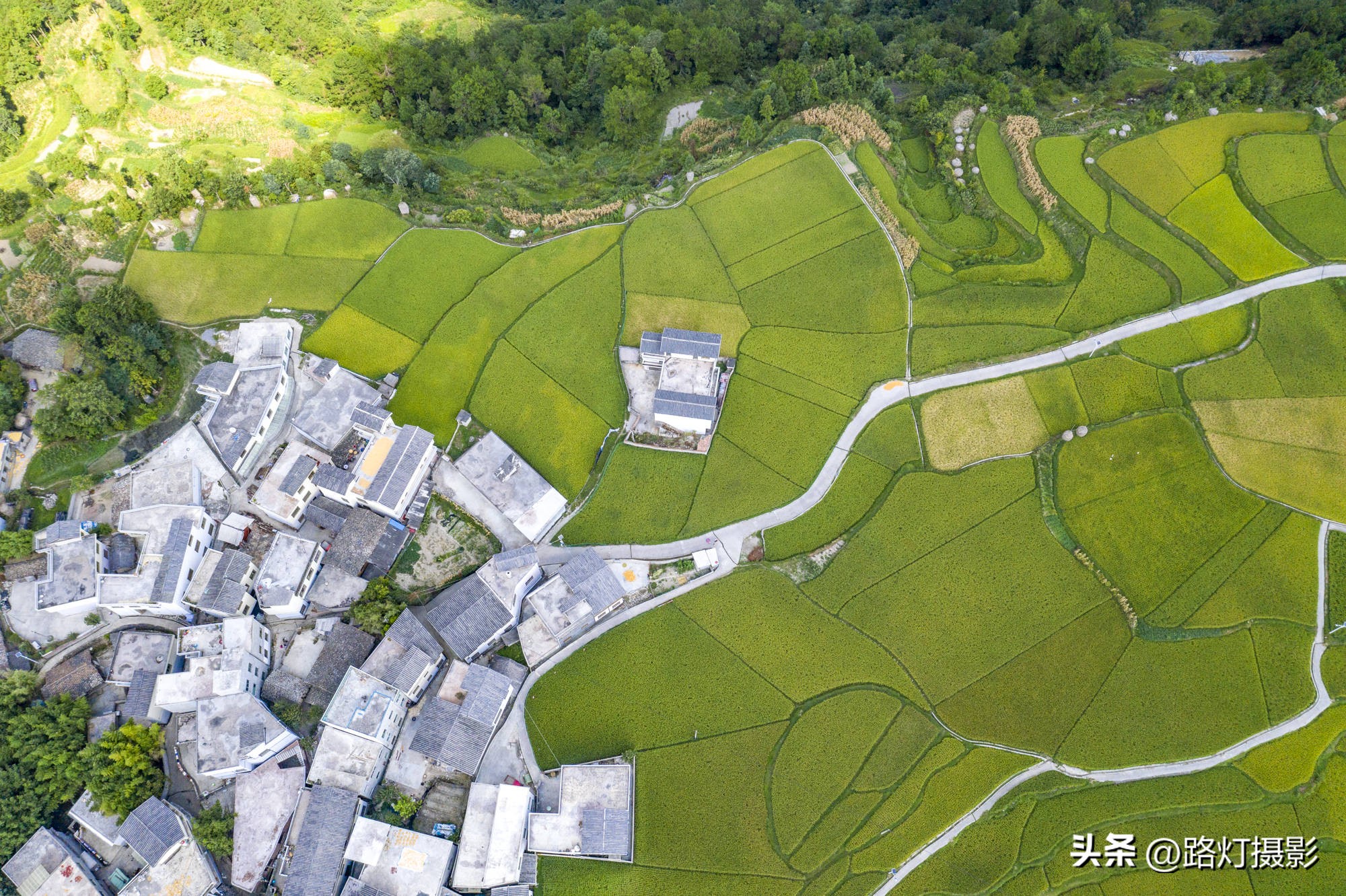 中国最适合避暑的城市有哪些,国内夏季最适宜避暑的城市