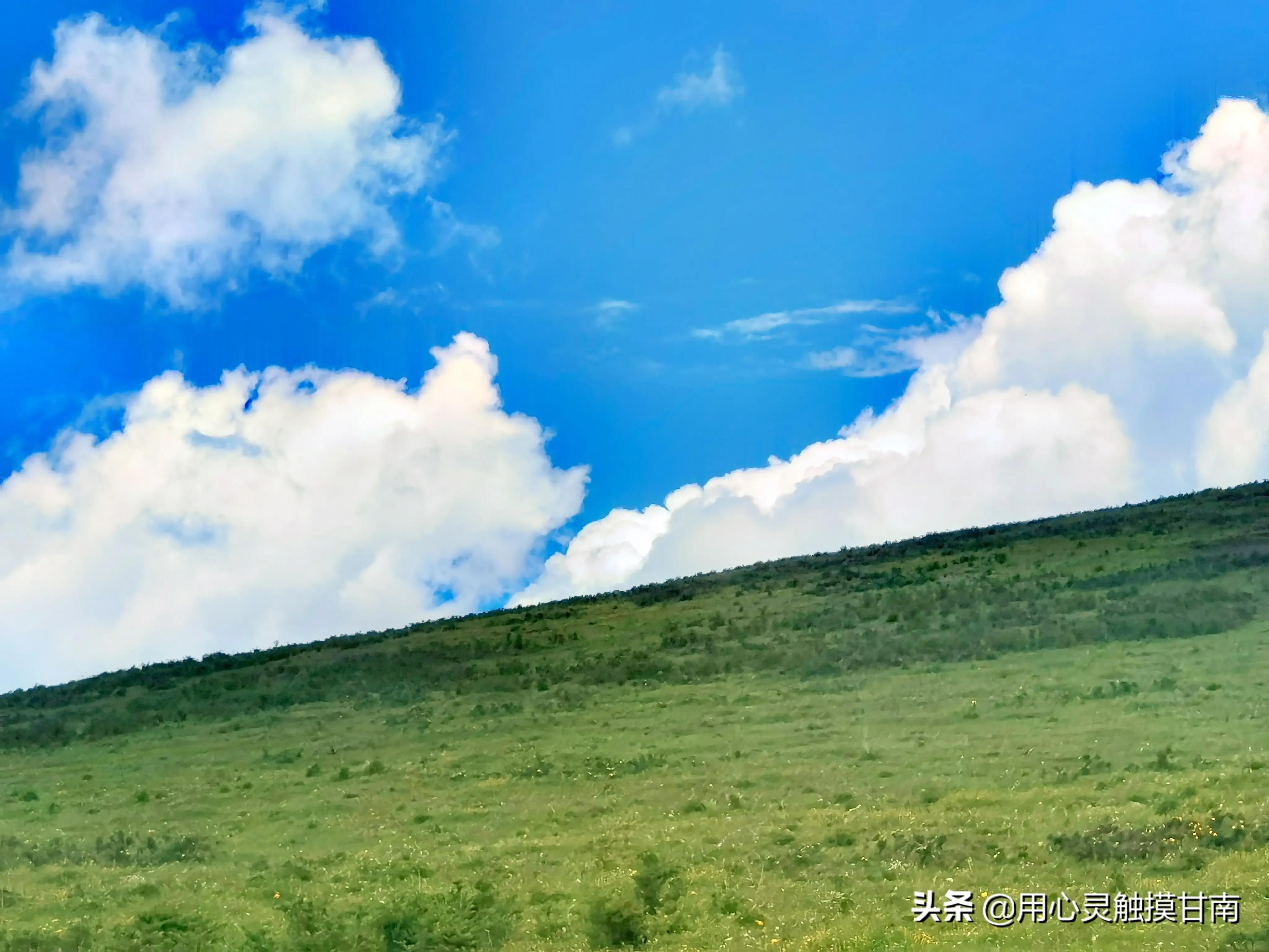 去宕昌县看草原怎么去,宕昌县草原旅游路线