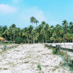 海南东海岸全攻略,海口万宁三亚的景点推荐