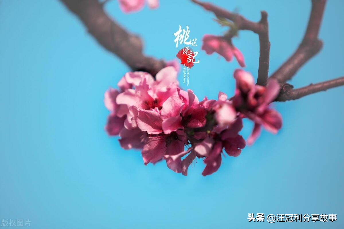 当仁不让的成语解释及意思,成语当仁不让是什么意思