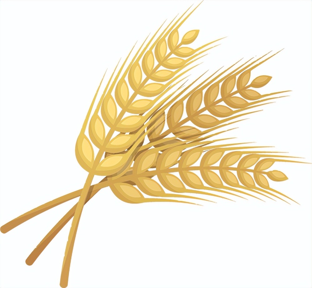 孩子最佳营养食谱大全,儿童营养均衡荤素搭配食谱