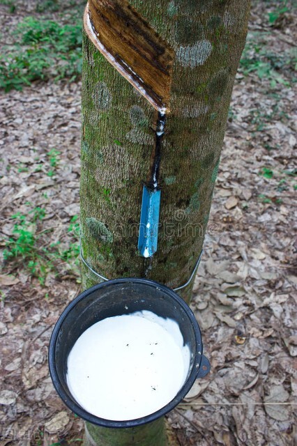 315打假报告真的假的,315曝光的乳胶枕