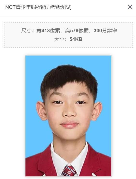 nct全国青少年编程能力等级测试,nct青少年编程能力测试等级官方