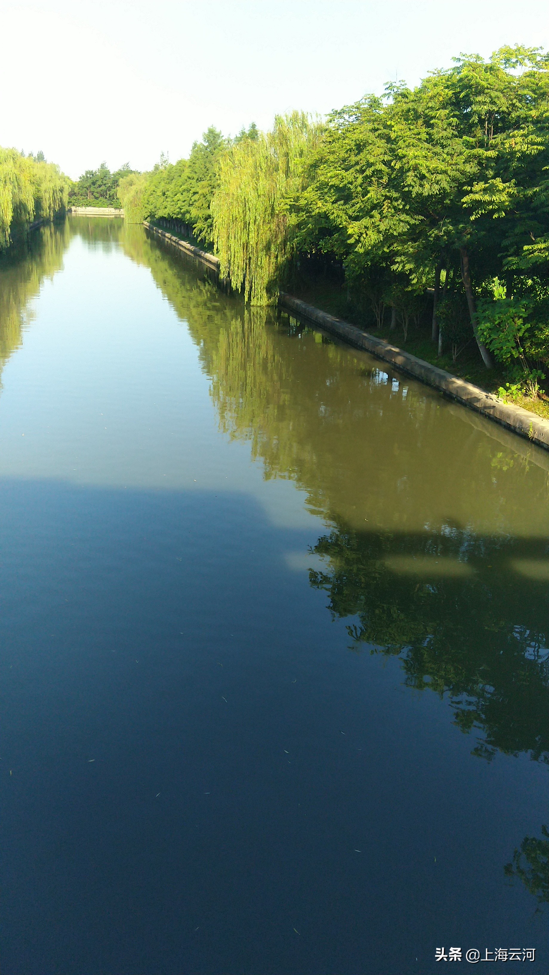 家族企业也要有君臣之道,家族企业跟家庭企业有什么区别