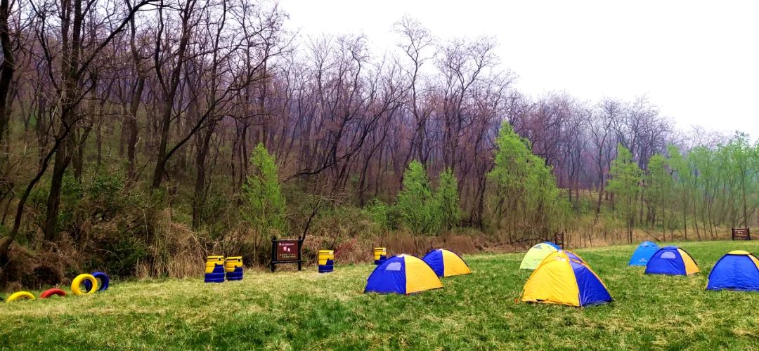 逛吃逛吃歌曲,逛吃逛吃大张伟
