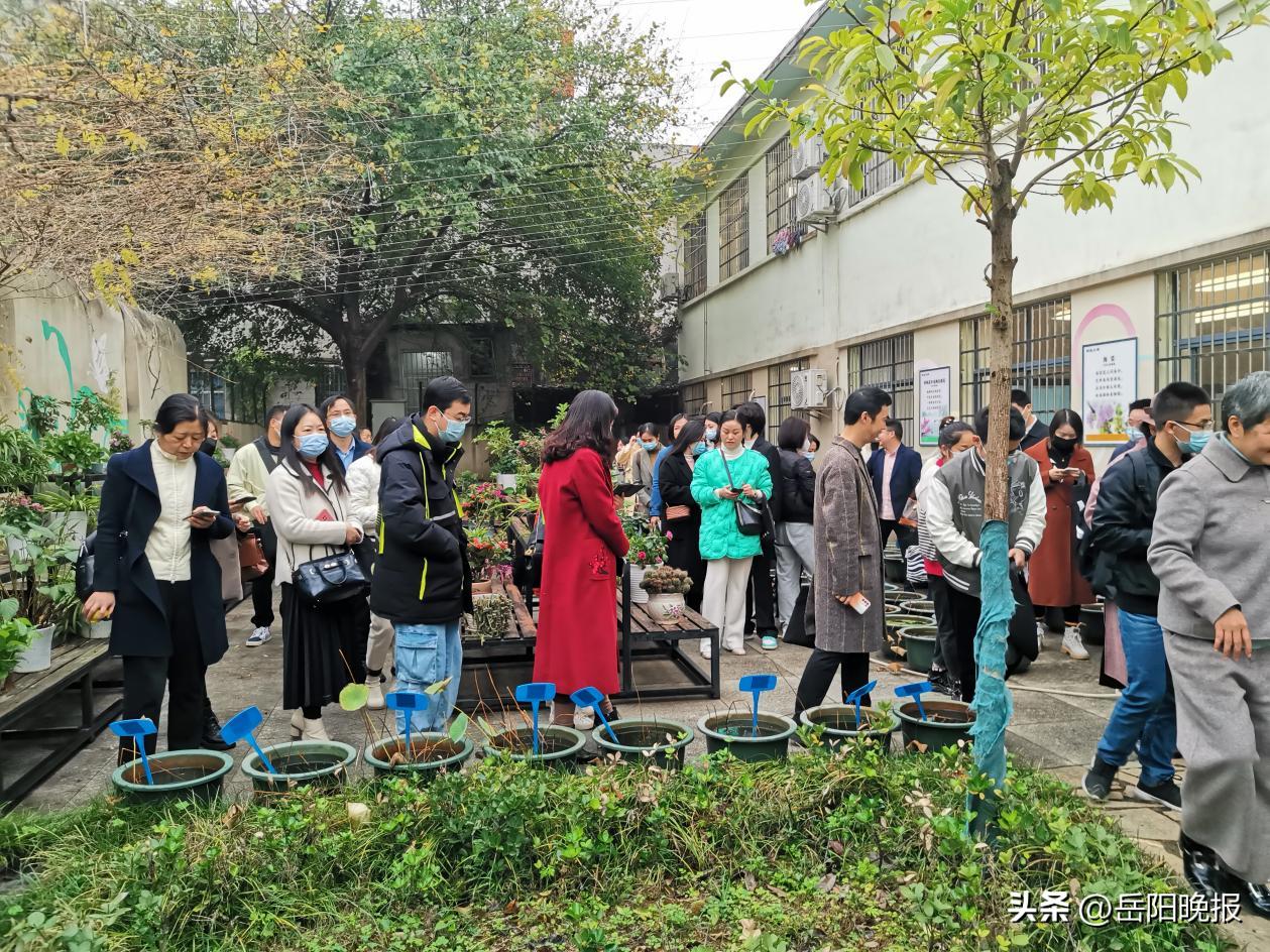 岳阳楼区枫树小学劳动实践记录,劳动观摩课教研活动总结