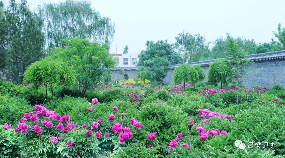 我的吕梁我的城微视频,我的吕梁我的城作品征集