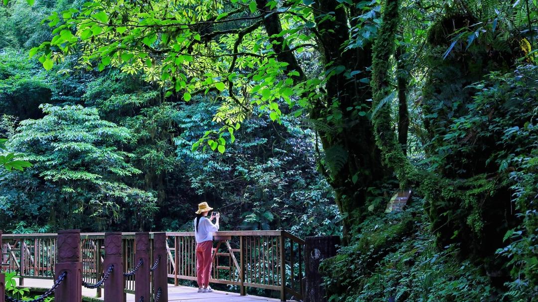 毕业旅行贵州景点攻略,成都毕业旅行的最佳去处最新报价