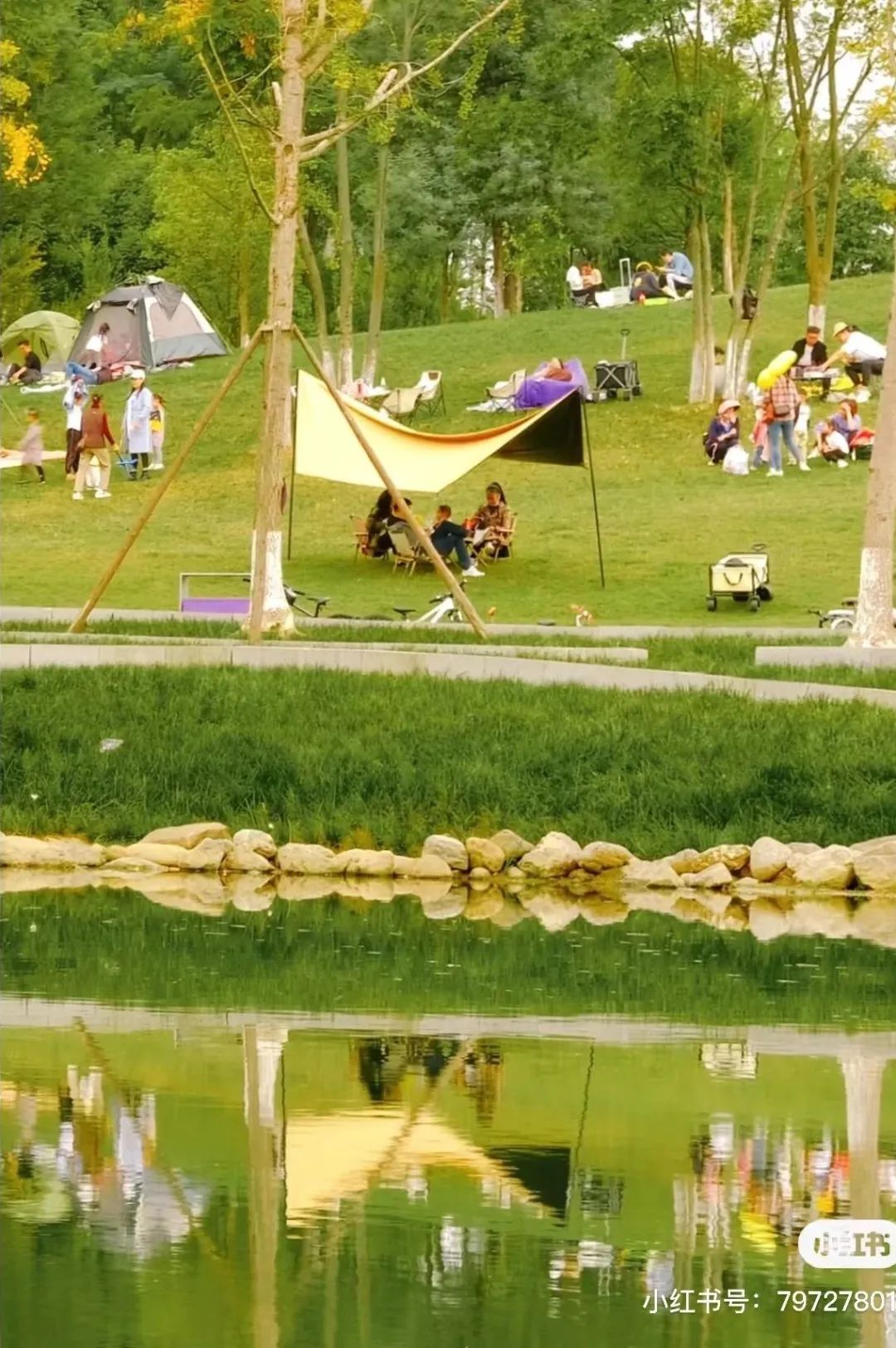 成都免费露营地推荐过夜,成都周边露营地推荐自驾