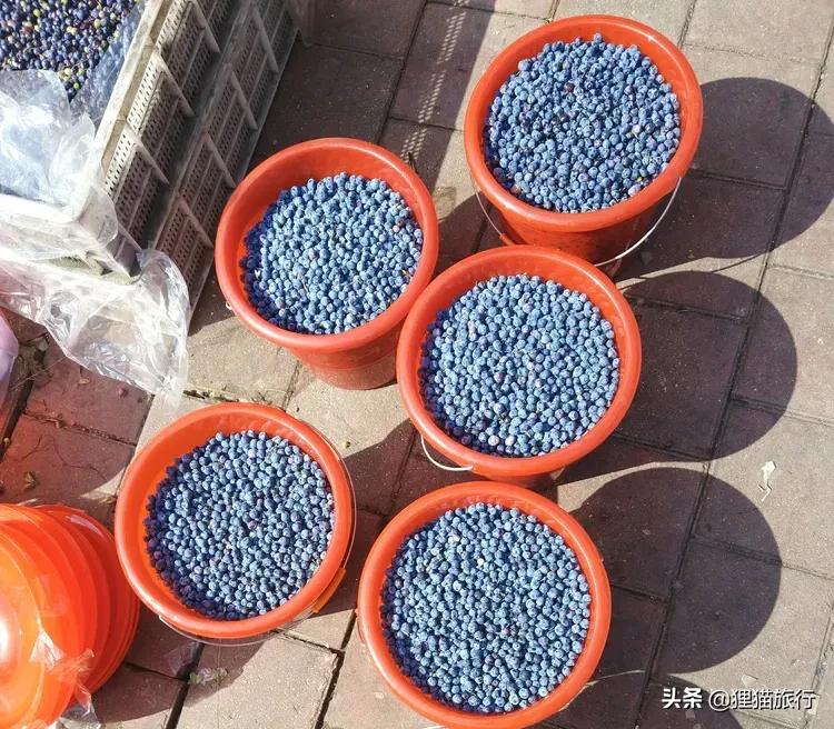 黑龙江大兴安岭呼玛县地图,呼玛县特点