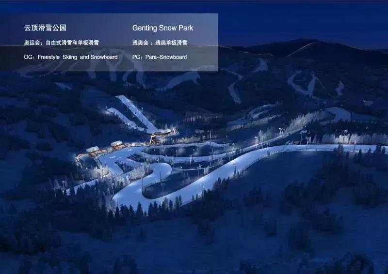 冬奥最新奖牌榜自由式滑雪,冬奥会滑雪比赛精彩回顾