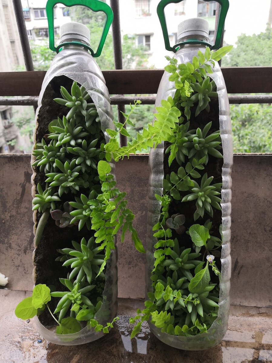 总是过于在意别人想法,过于在意别人想法会成功吗