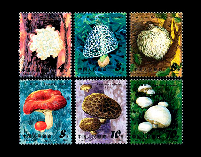 t字邮票最新价格表,目前最有潜力的jt小型张邮票