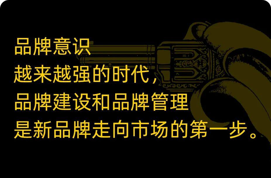 优秀品牌策划设计方案,品牌策划品牌设计方案