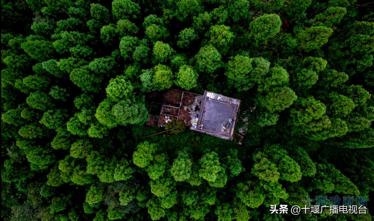 全国百强！为什么是十堰？