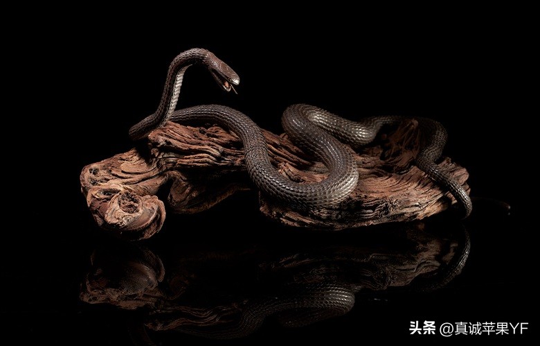 收藏指南大全,收藏指南法定货币