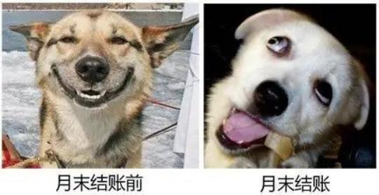 世界500强的员工,世界500强工作的员工