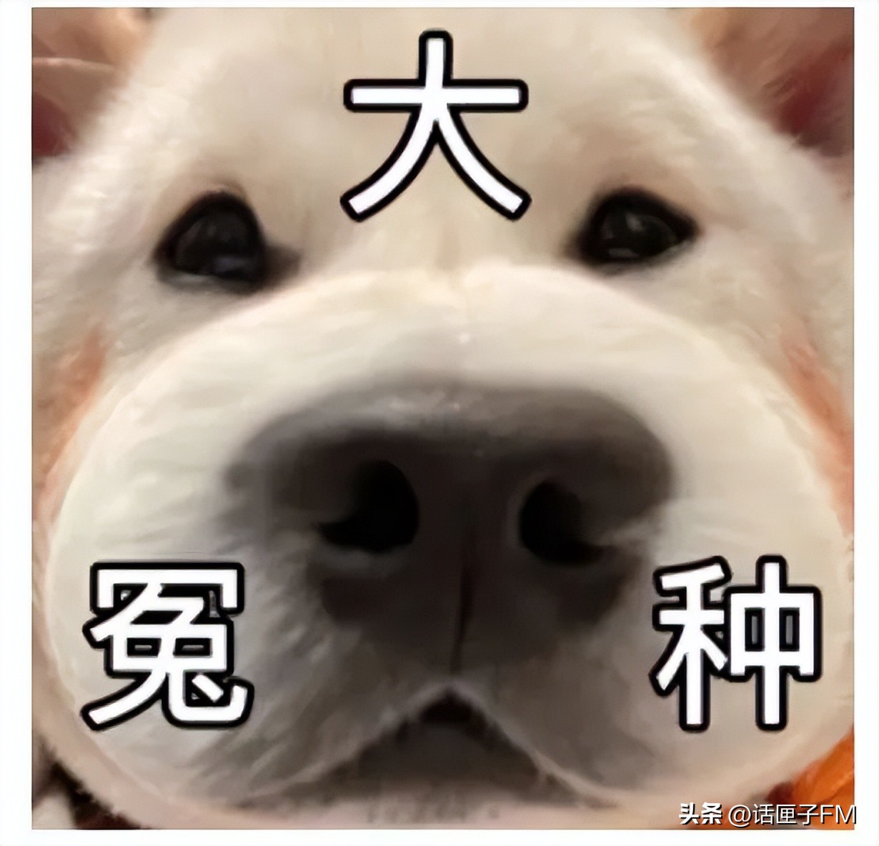 提前还房贷有必要留一部分抵个税,房贷抵个税和提前还哪个划算