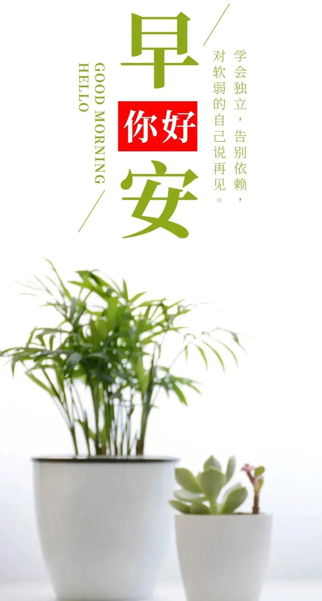 早安心语正能量经典一句话图片,2022早安心语简单一句话