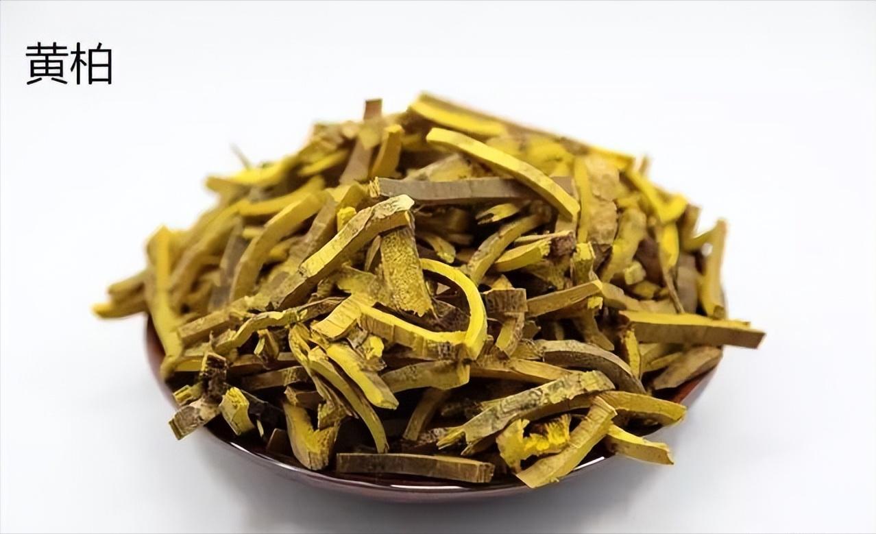 小腿静脉曲张已经肿胀怎么治,金匮要略下肢静脉曲张