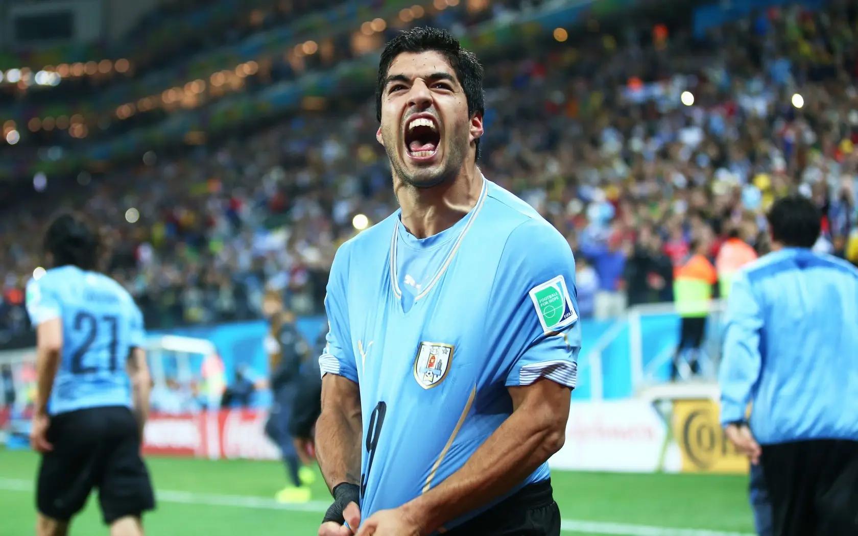 球迷速成指南一图了解本届世界杯,一眼了解世界杯球队