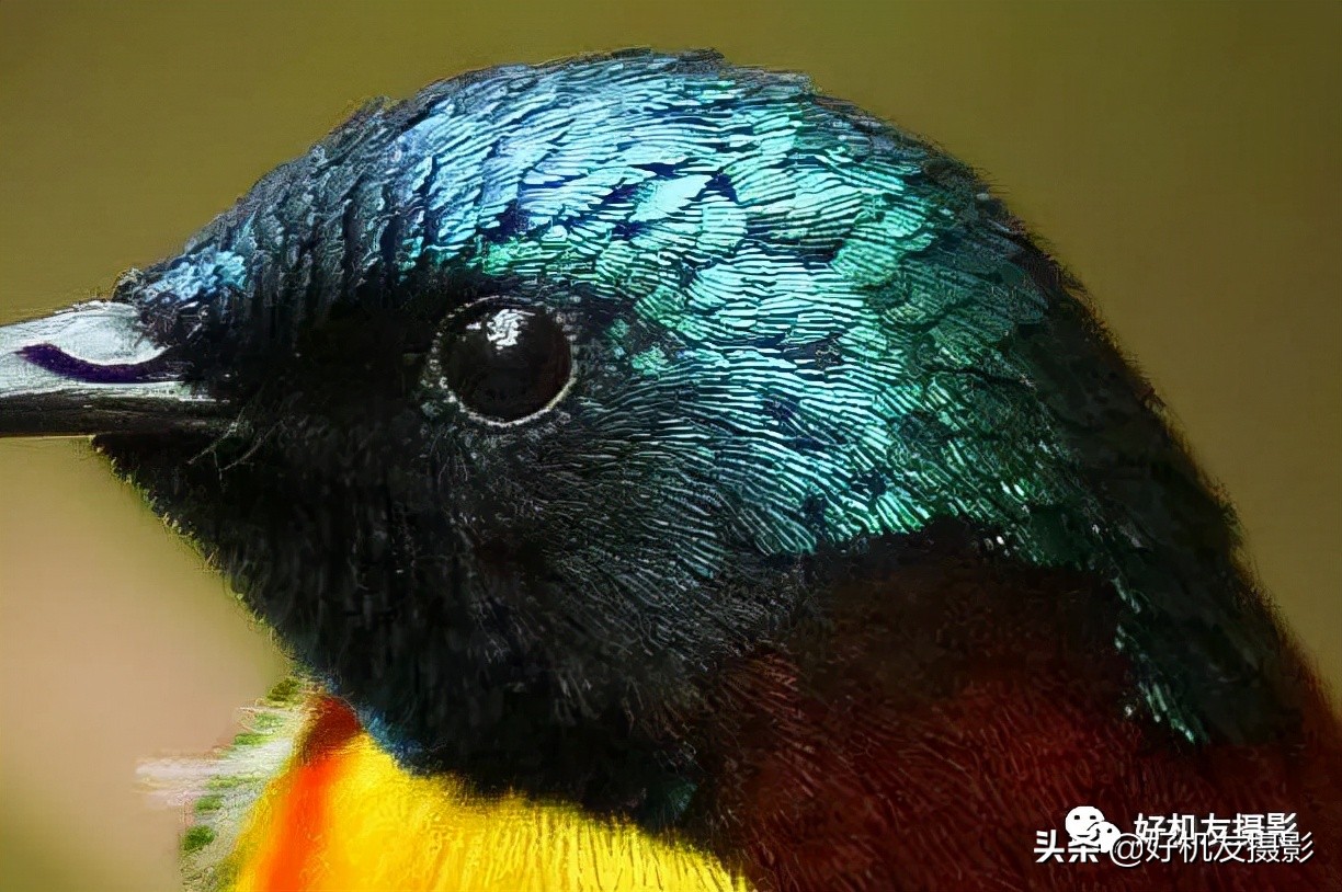 手机拍照片怎么拍出质感风景,拍的照片没有质感