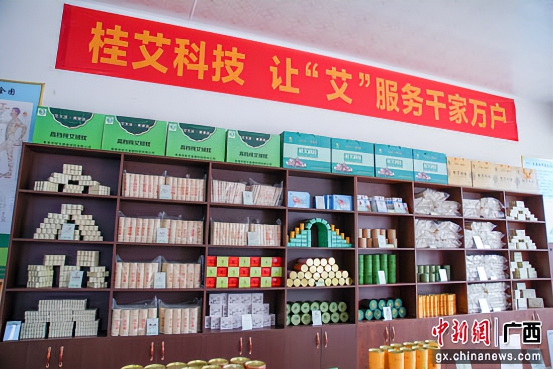 贵港港南区：推广种植“致富草”助力乡村振兴