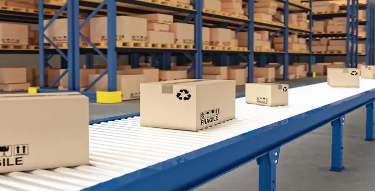 喜讯连连完整视频,喜讯连连再创佳绩