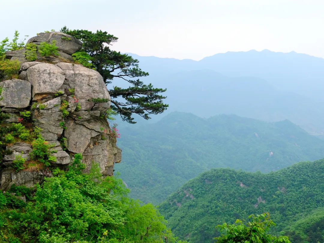 暑假信阳免费景区推荐,信阳新县自驾游免费景区攻略