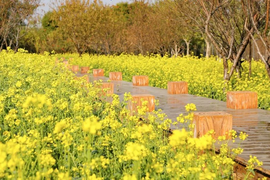厦门的春节怎么过,厦门过春节怎么过