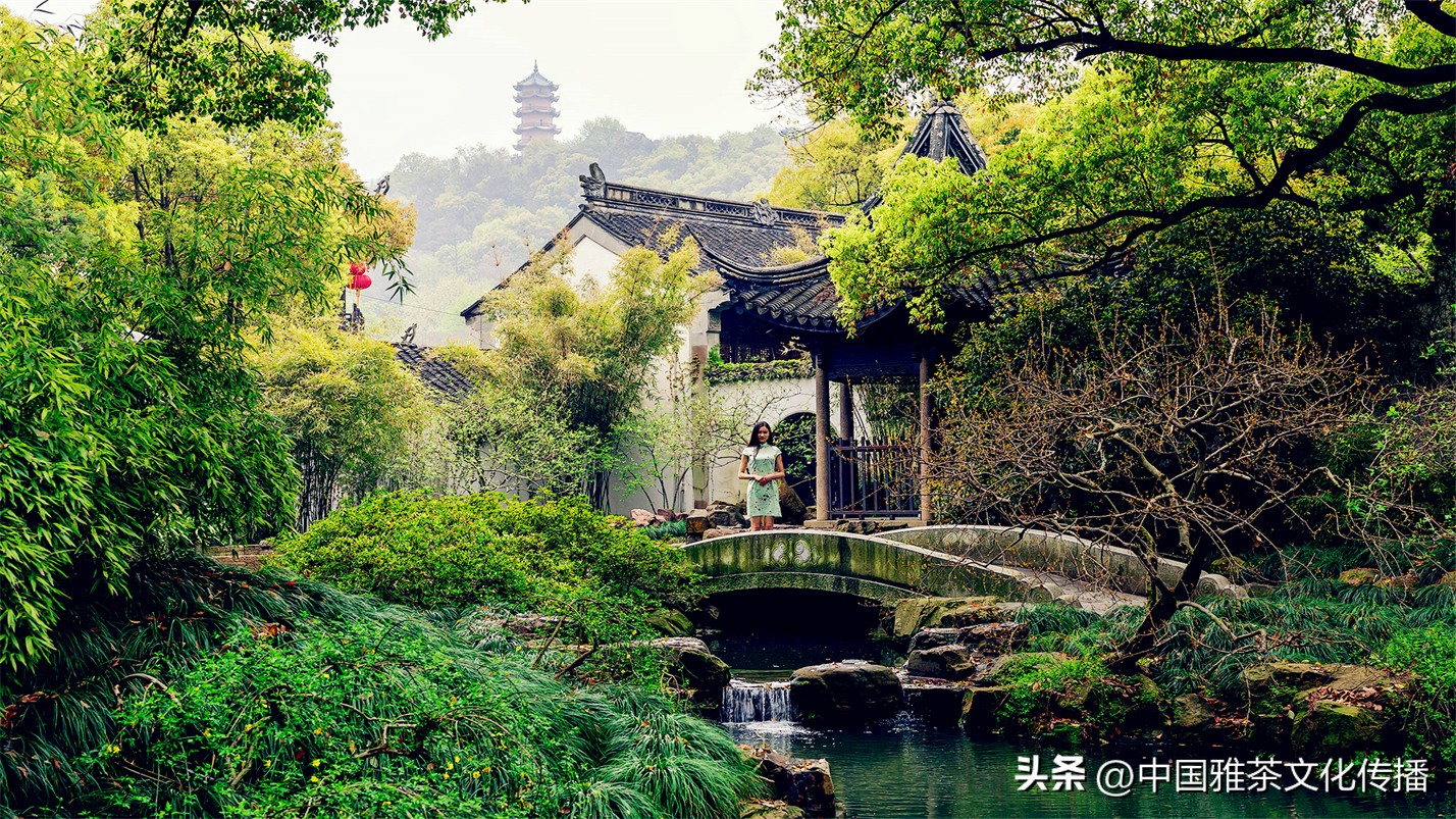 智者喜爱清泉，仁者喜爱山川