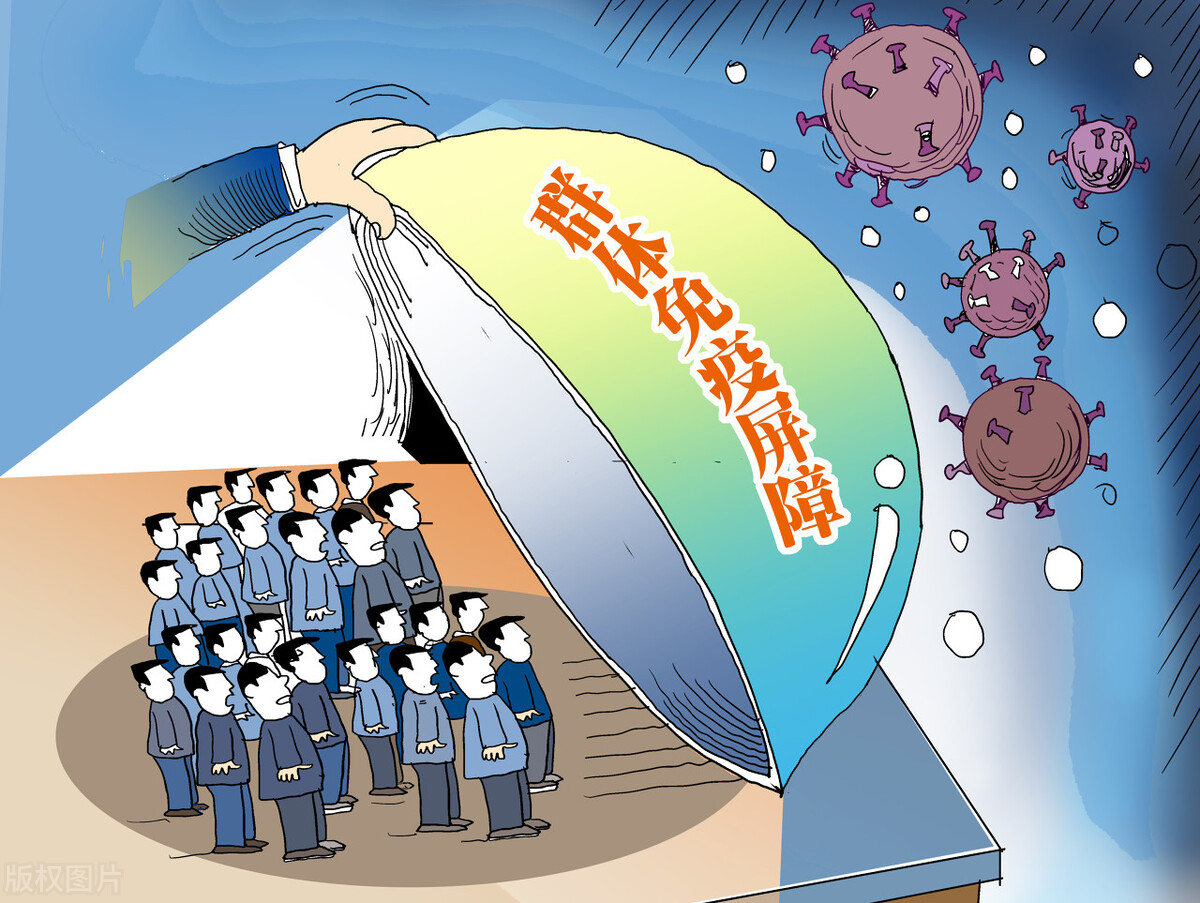 印度人口在哪一年达到了9亿,印度人口超过14亿