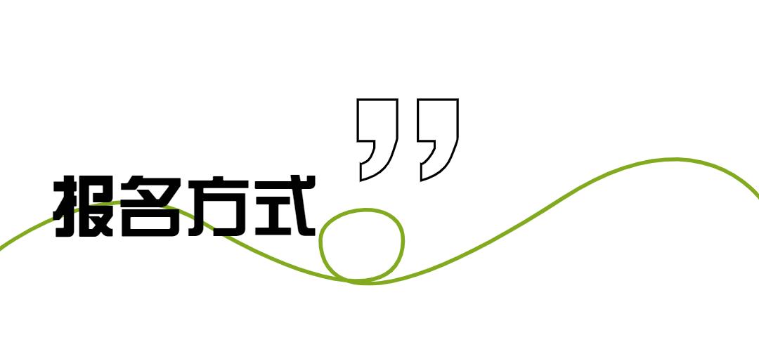 亲子纸板手工,亲子diy手工大赛