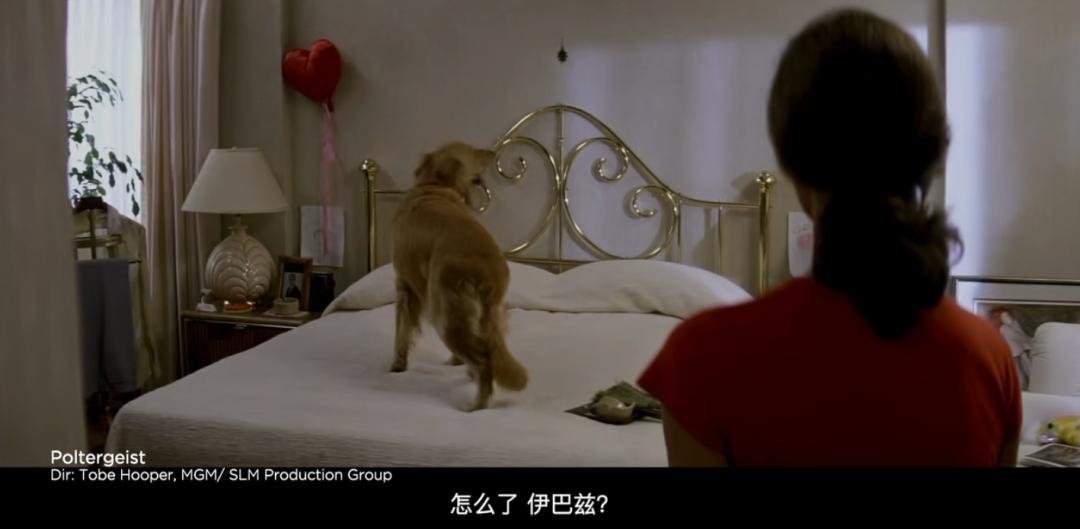 五星安利的穿越剧,五星安利穿越剧