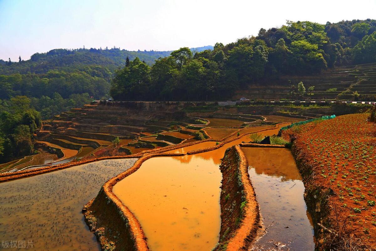 珠海九大湿地公园在哪里,神农架大九湖湿地公园