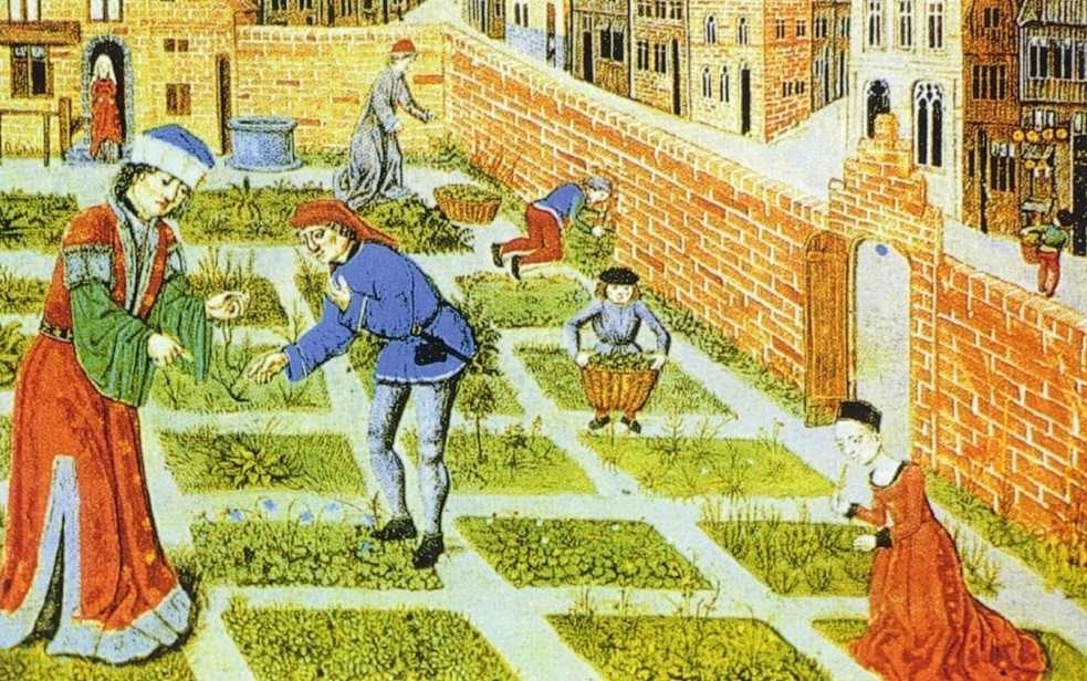 从图画中解开欧洲中世纪烹饪与饮食密码46