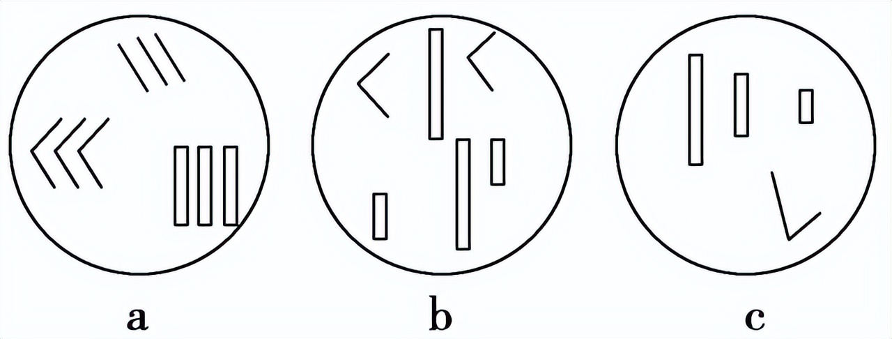 高中生物变异和育种知识点,高中生物变异育种进化思维导图