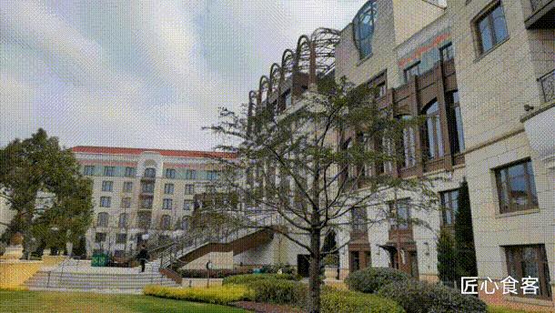 上海迪士尼乐园住宿哪家便宜,上海迪士尼乐园保姆级游玩攻略