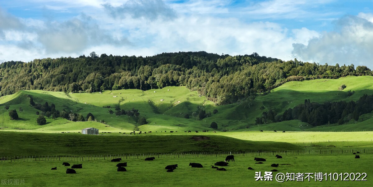 新西兰旅行27.聊聊新西兰的杂七杂八2【南岛旅游篇】【16022023】