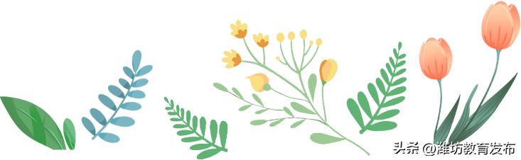 美！潍坊校园春景强势来袭