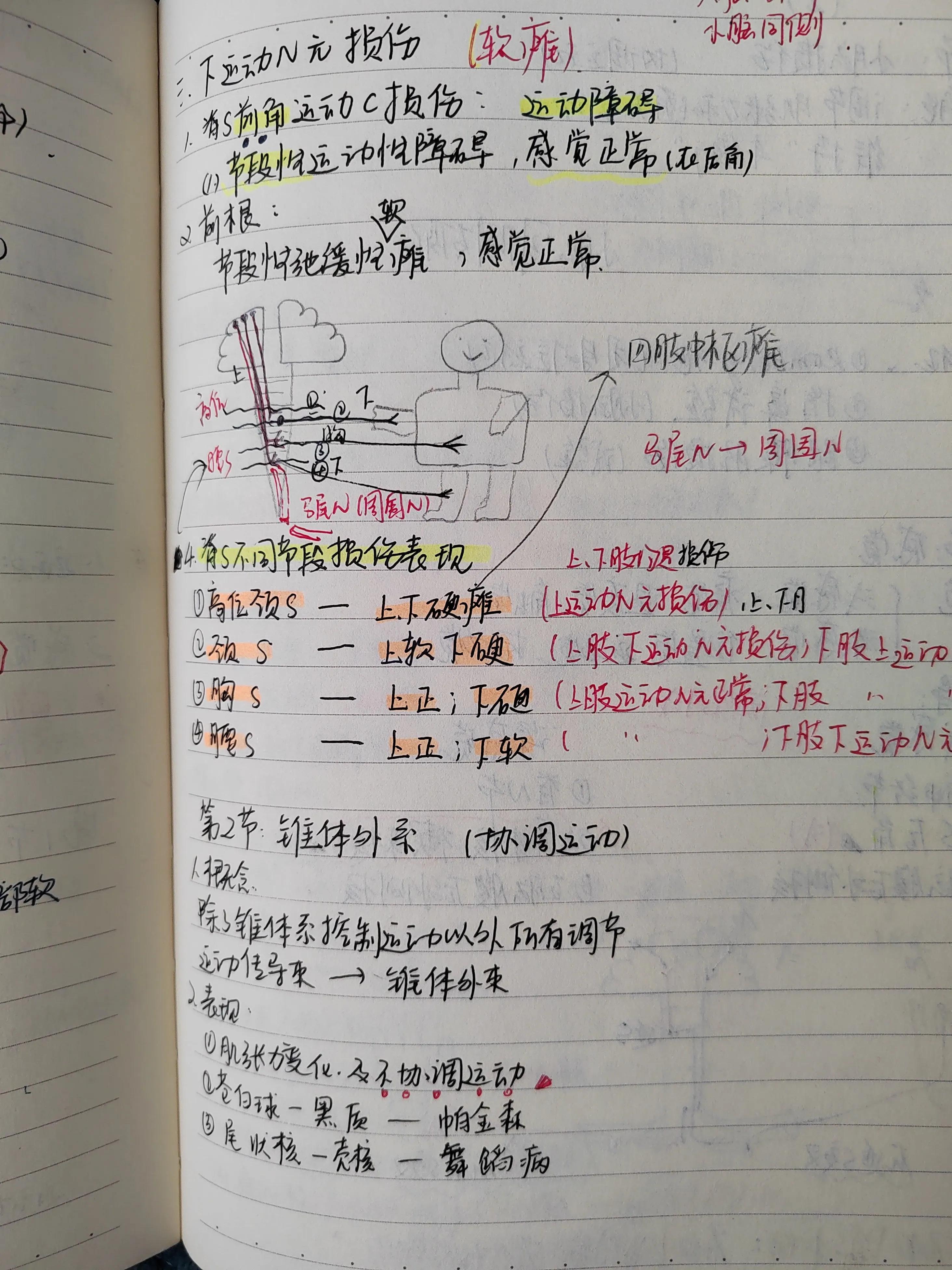 2022年中医执业助理医师考试大纲,2022年助理医师报考执业医师条件
