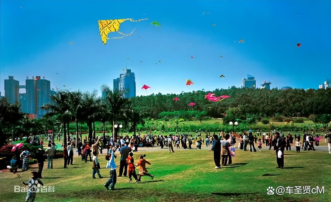 深圳莲花山公园风景,深圳人气最旺的公园