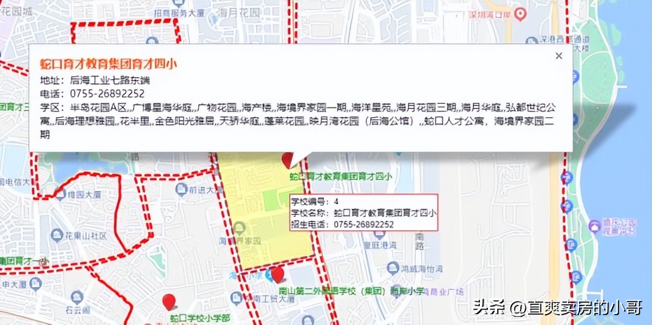 南山积分70分大概能进什么学校,南山育才小学学区划分