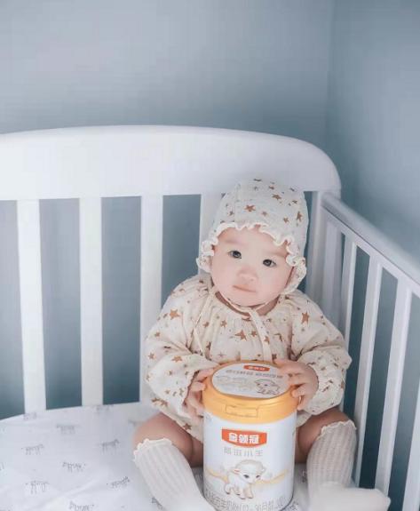 婴儿羊奶粉有哪些性价比比较高的,推荐几款适合中国宝宝的羊奶粉