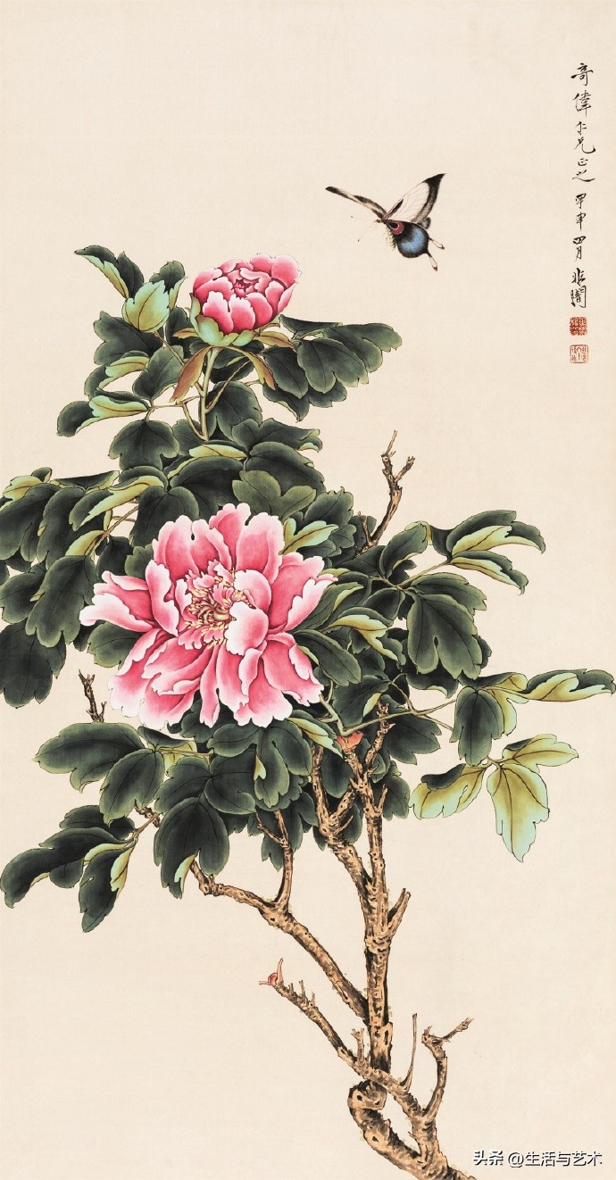 工笔牡丹和鸟白描图片欣赏,王道中工笔牡丹白描稿马蹄莲