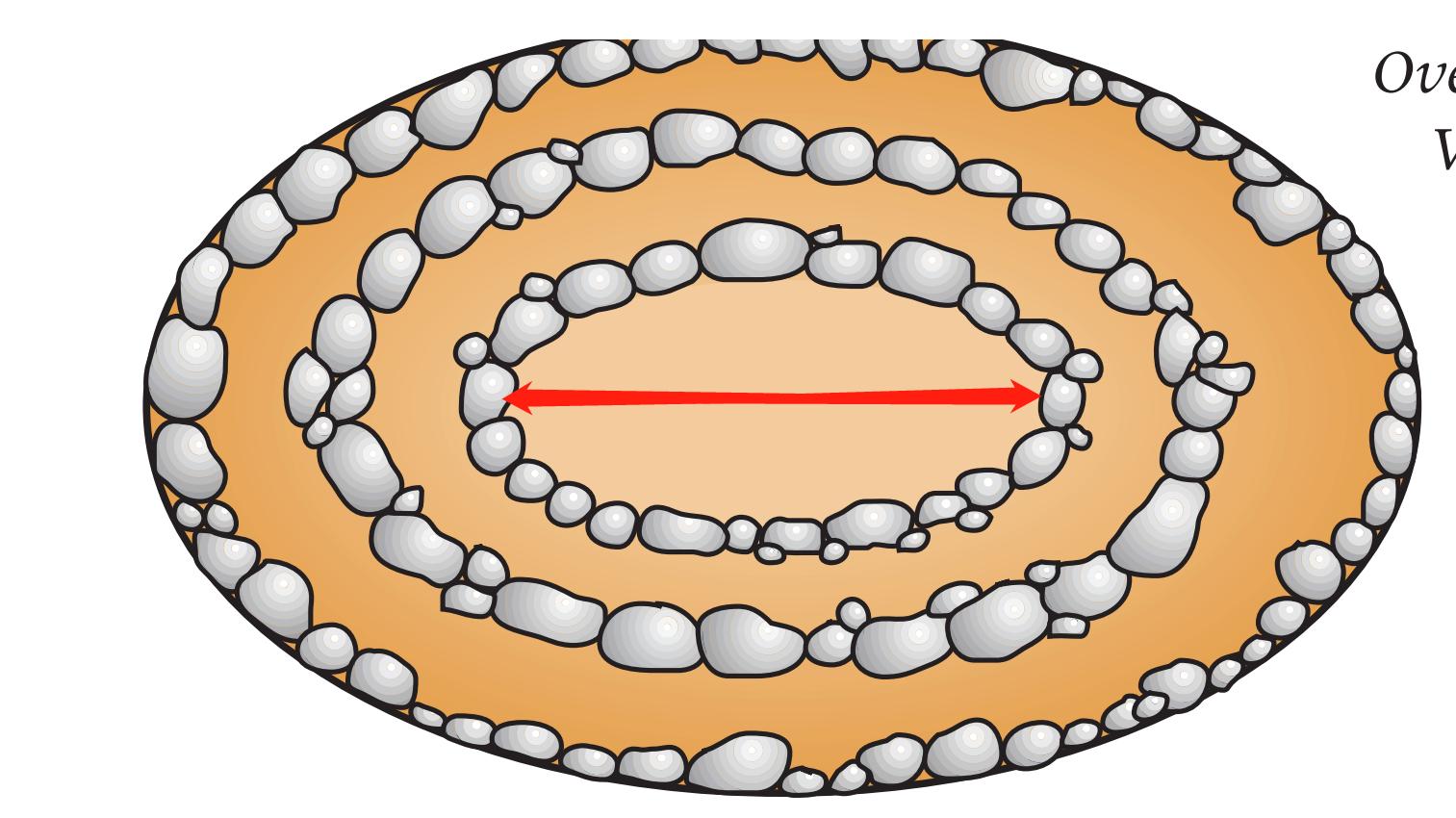 生态缸为啥不长藻不出绿水,生态缸为什么养不活虾